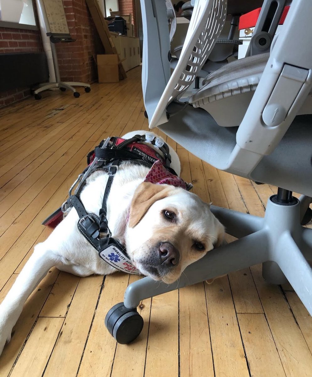 Bailey Martens tweet media