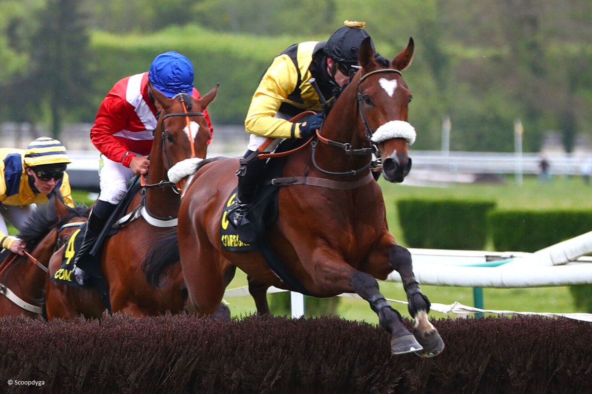 OSARUS (@osarussales) on Twitter photo 🥇 𝐀𝐋𝐋 𝐌𝐎𝐎𝐍𝐒𝐇𝐈𝐍𝐄 #latesteyearling
ALL MOONSHINE #SpanishMoon wins the class 2 Prix Vanille today at <a href="/HippoCompiegne/">Hippodrome Compiègne</a> for Donatien Sourdeau de Beauregard & <a href="/lucaszuliani13/">lucas zuliani</a>
🔷 He was purchased as a yearling at La Teste by Myriam Montauban from Haras des Loges in 2022 🥇 𝐀𝐋𝐋 𝐌𝐎𝐎𝐍𝐒𝐇𝐈𝐍𝐄 #latesteyearling
ALL MOONSHINE #SpanishMoon wins the class 2 Prix Vanille today at <a href="/HippoCompiegne/">Hippodrome Compiègne</a> for Donatien Sourdeau de Beauregard & <a href="/lucaszuliani13/">lucas zuliani</a>
🔷 He was purchased as a yearling at La Teste by Myriam Montauban from Haras des Loges in 2022