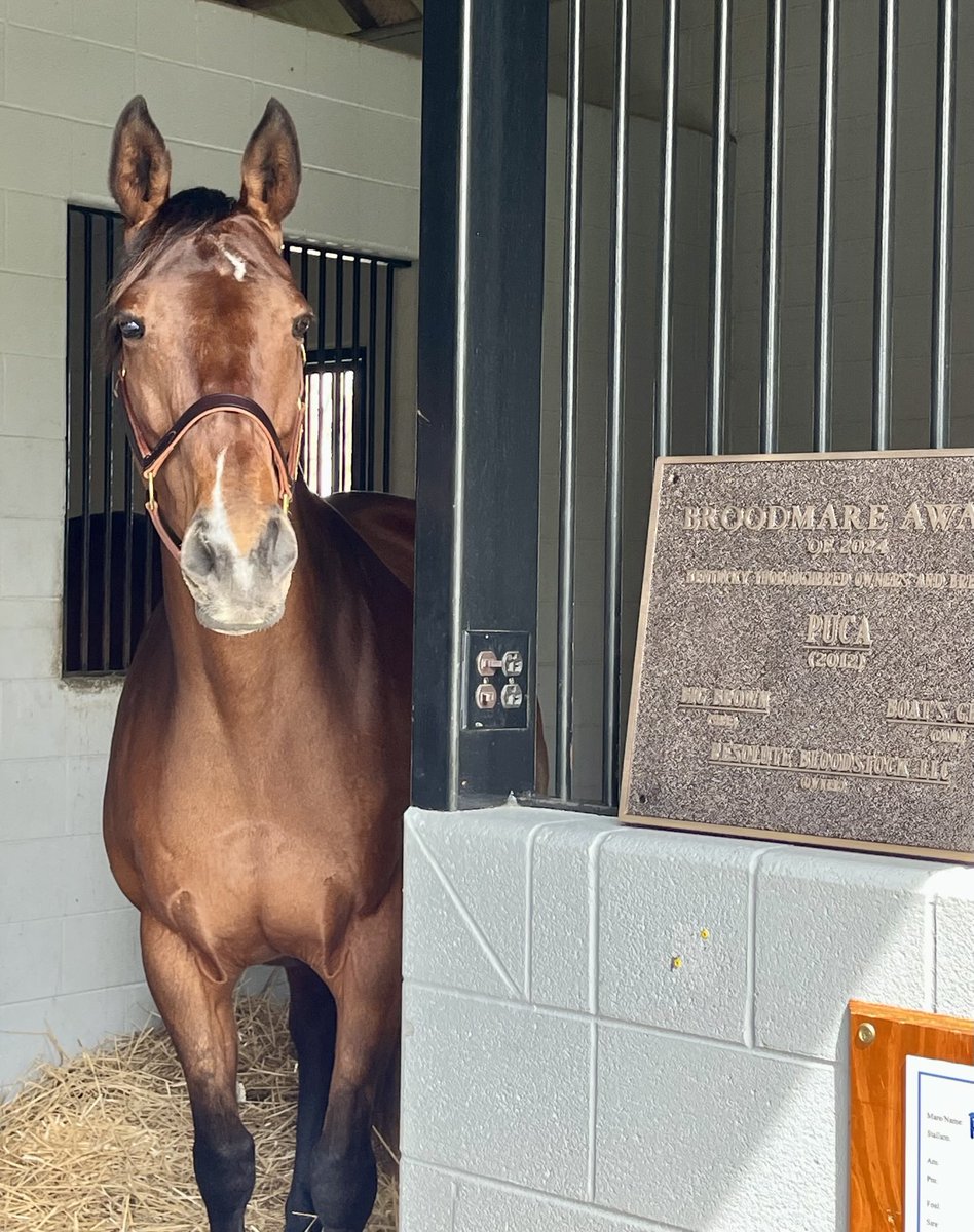 prezslejko's tweet image. So much fun at #brunchwiththebabies
A generous experience of food, drinks, and best of all, lots of mamas and babies. Special treat to see the star maker, #Puca
Thank you @resracingky !