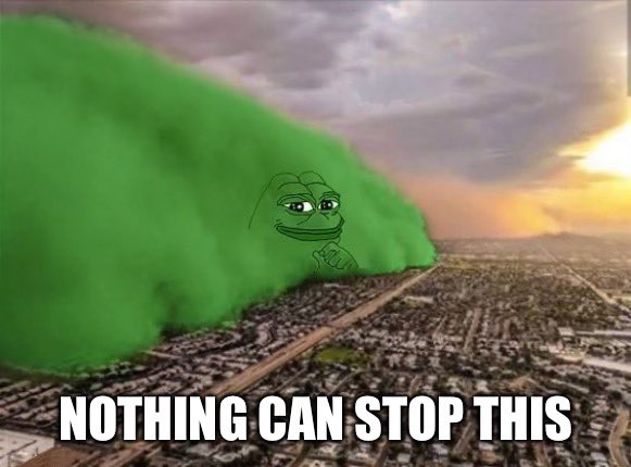 JakeGagain's tweet photo. Nothing Can Stop $PEPE. https://t.co/KuAy3RQ1Vz