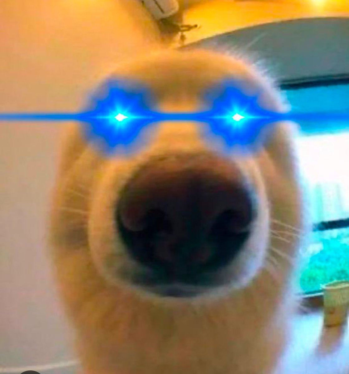 barti🌙👉🐶 tweet media