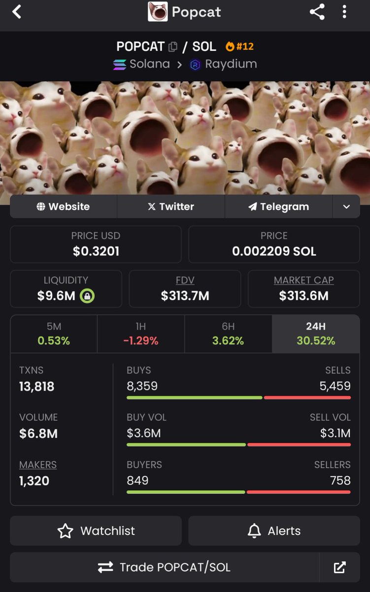 Told u all at  200 M
Higher 
7GCihgDB8fe6KNjn2MYtkzZcRjQy3t9GHdC8uHYmW2hr
$POPCAT