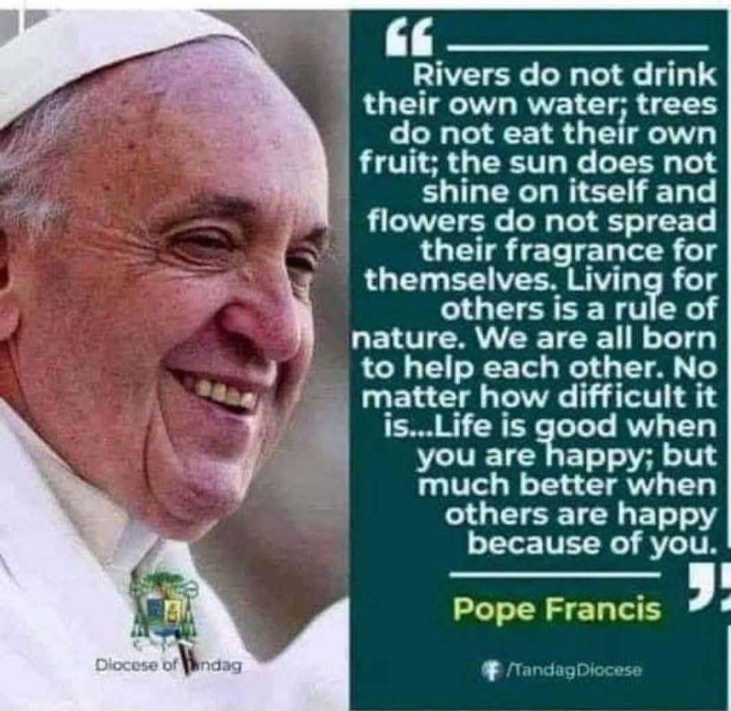 TreeMamaSEA's tweet image. 