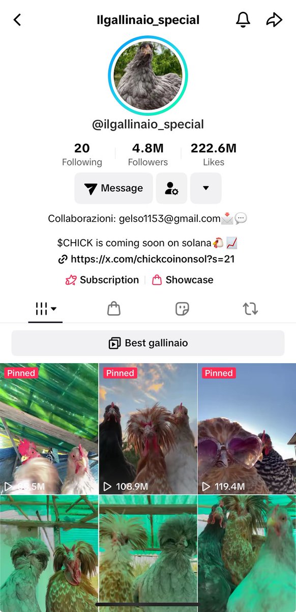 ChickCoinOnSol's tweet photo. @casino616 Ilgallinaio, the chickens you see all over tiktok are launching Friday and CT don’t even know yet??? 😏💶 https://t.co/v1z47n4lVS