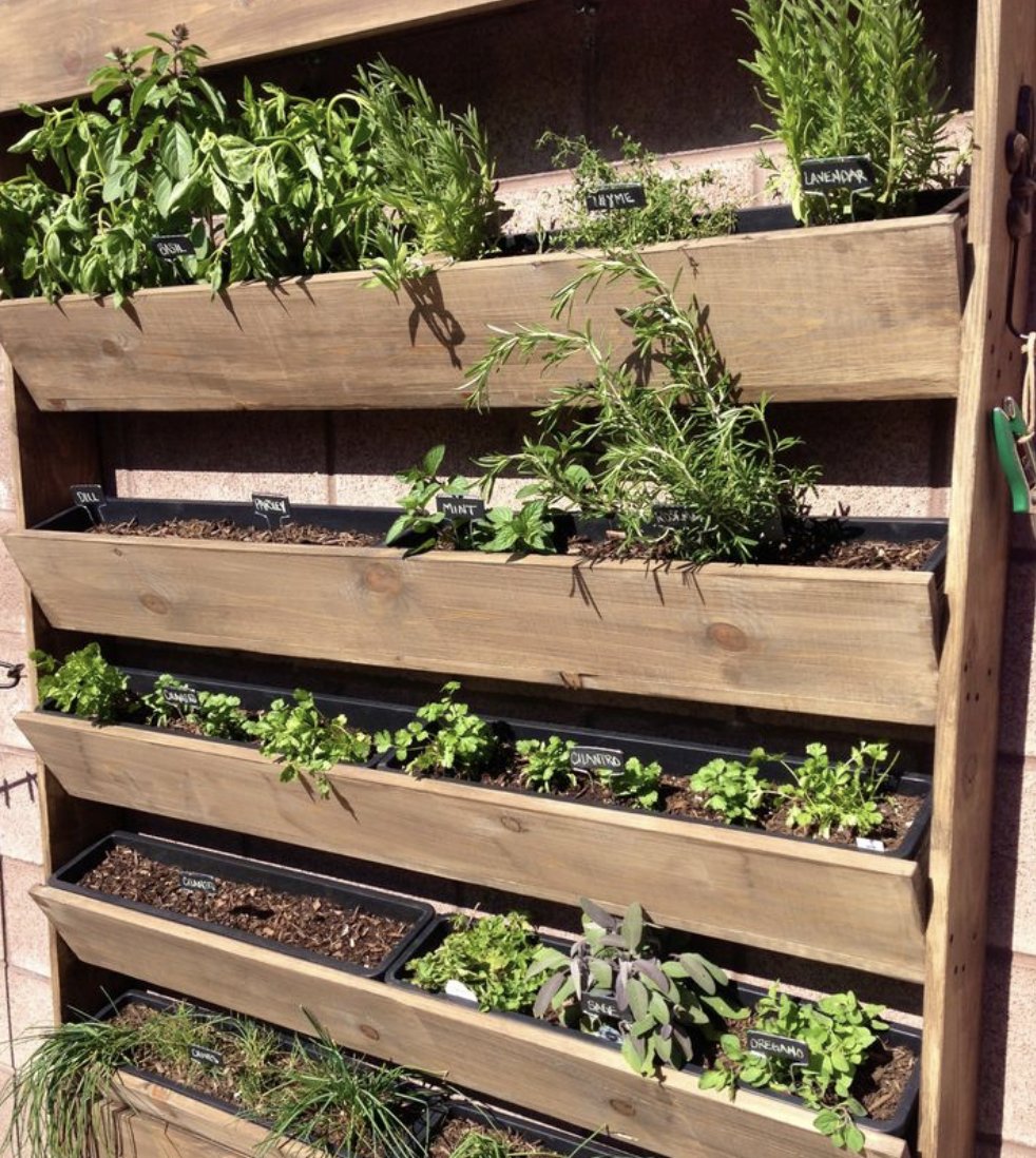 Vertical gardens like this one turn any wall into a food source. A low-cost, high-yield solution for urban gardeners reclaiming space one tier at a time.

Vertical Herb Garden by @faroutflorals