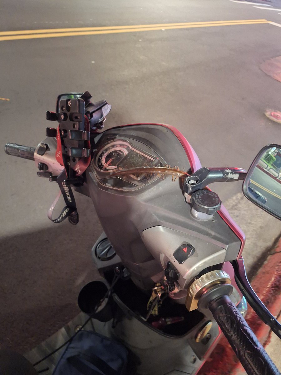 什麼鬼？！
上次撞鳥。。。
這次是。。。
蜈蚣？？？！！！
WTF ！！！