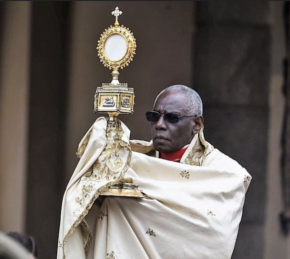 pero miren la pinta que tiene este chad de día hace exorcismos y de noche es cazador de vampiros, tiene que ser el nuevo papa URGENTE