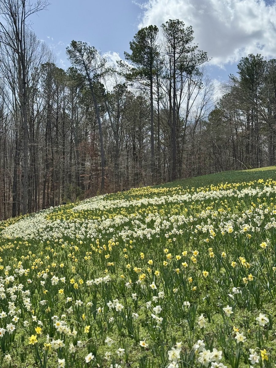 SCEnvironmental's tweet photo. Happy #EarthDay.  Get outside and celebrate Mother Earth and all she does. Make a difference. #EarthDay2025 #recycle #cleanair https://t.co/pQ89guBZgv