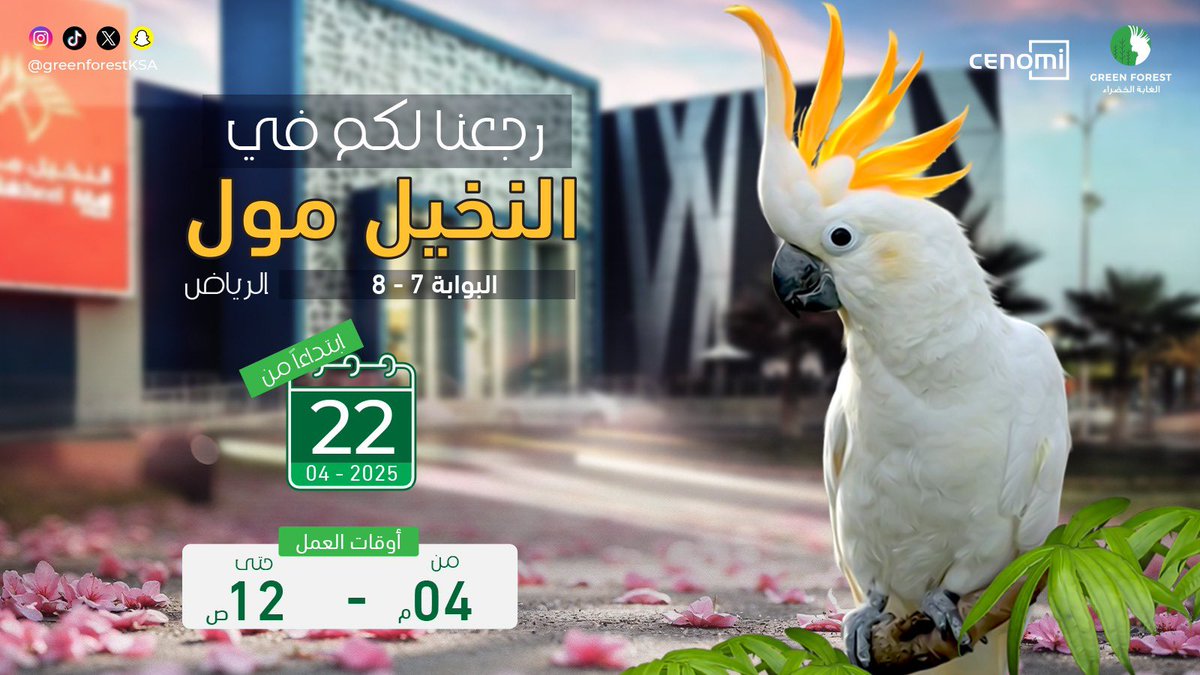 greenforestksa's tweet photo. حياكم الله جميعاً في النخيل مول - الرياض البوابة ٧-٨
يومياً من الساعة ٤ مساءً حتى الساعة ١٢ صباحاً

ننتظركم 
@cenomicenters 
#الغابة_الخضراء 
#طيور #ببغاء #حديقة_طيور  #fypシ  #trend #اكسبلور #حديقة_متنقلة #ترند #الرياض #المملكة_العربية_السعودية 
#النخيل_مول #النخيل_مول_الرياض https://t.co/xocwifQhiA