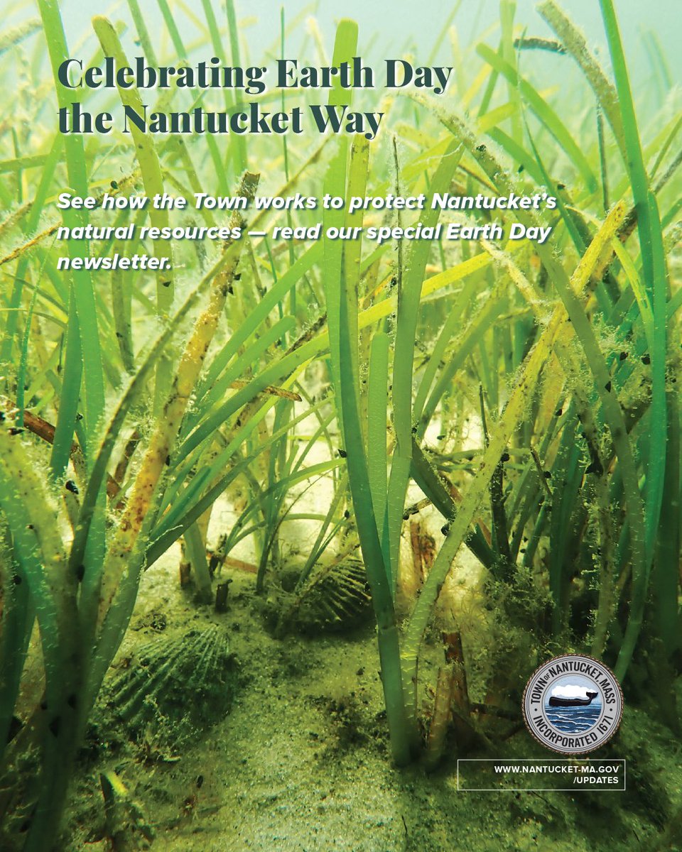 Town of Nantucket tweet media