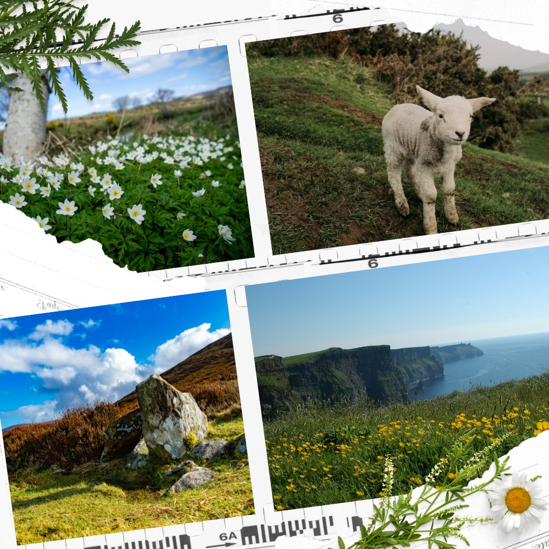 MystAdventures's tweet image. Ireland in spring is something else 🌸
Green fields, blooming hedgerows, and just the right amount of Celtic magic in the air.💚

#SpringInIreland #WanderWithWonder #IrelandTravel