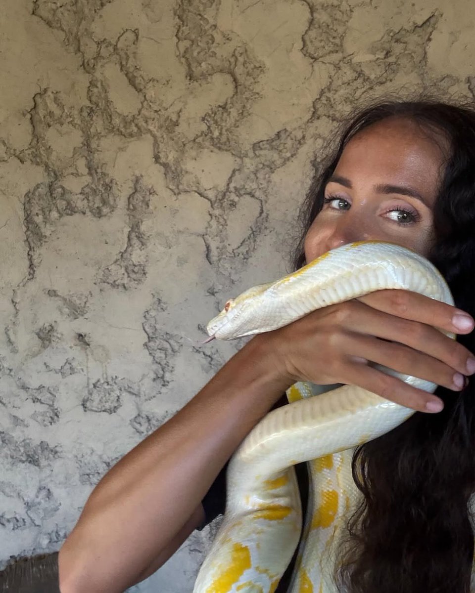 MissAdriSmith's tweet photo. 🐍 #bali #indonesia #python #baligirl #ubud https://t.co/Q2vdwVdLJG