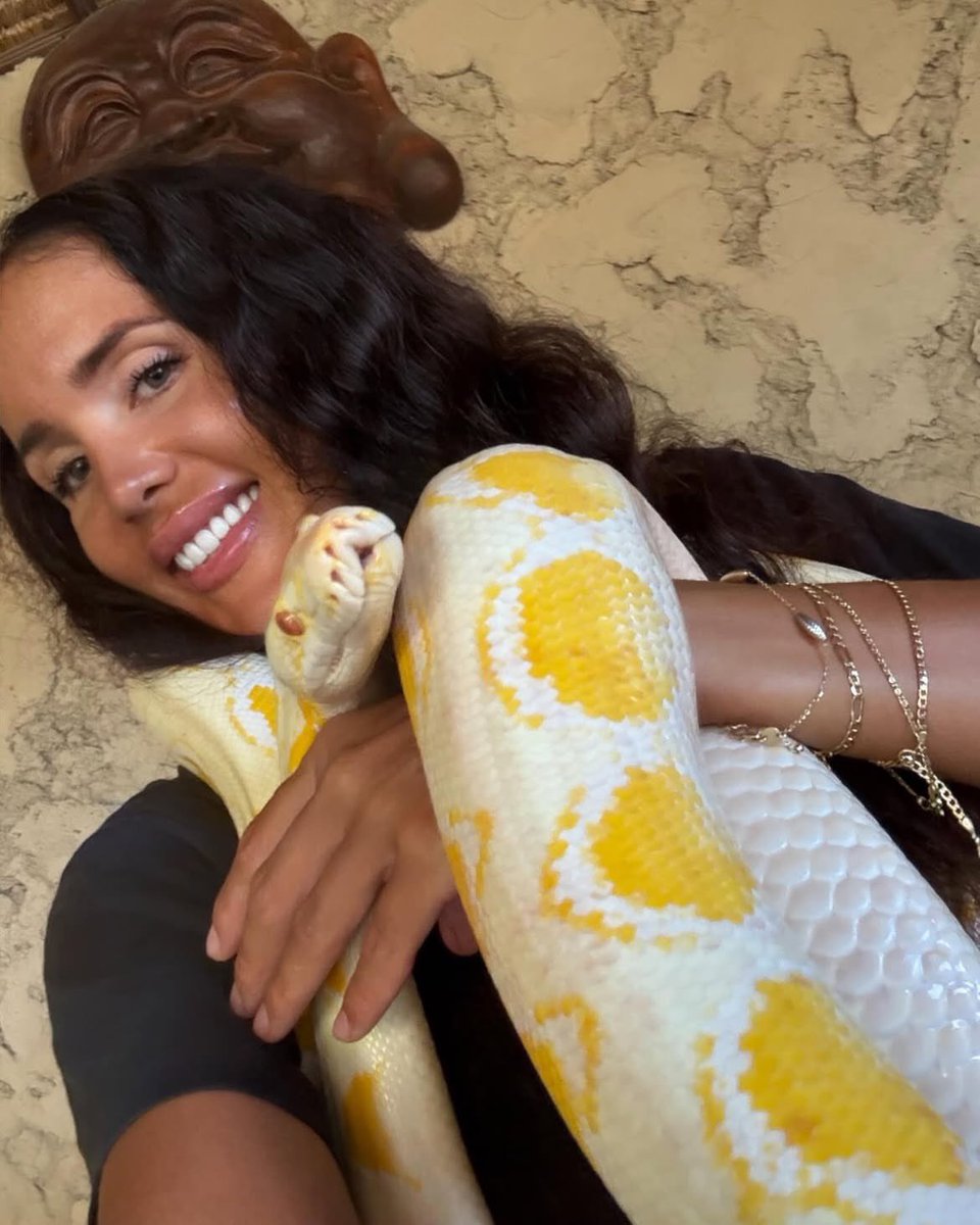 MissAdriSmith's tweet photo. 🐍 #bali #indonesia #python #baligirl #ubud https://t.co/Q2vdwVdLJG