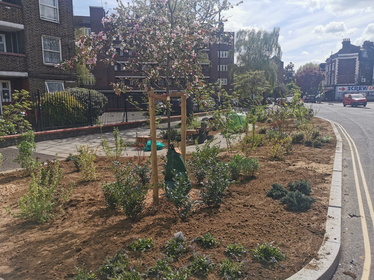 djjmilner's tweet photo. Asphalt reclaimed for nature and people near the @createstreets office in Lambeth https://t.co/RlwfFO6jTS