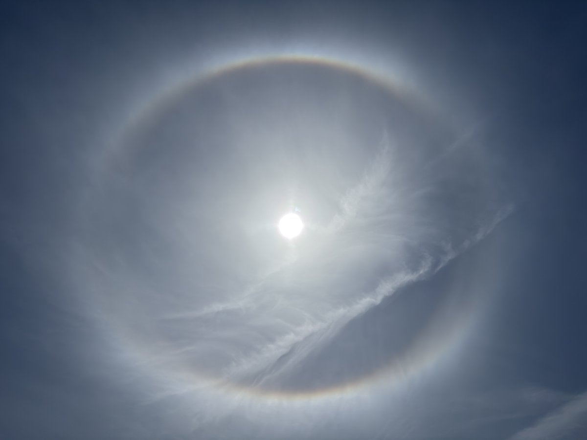 yui_cherry2068's tweet photo. 今日は壮大な天空ショーを見た。
完全な幻日環は久しぶり。幻日、１２０度幻日は観測できず。
過去に見た幻日環はそれらを伴っていたので今回は氷晶形状が異なると言うことか。
向日あたりが明るくなってるのは何かあるっぽい。
#長野県
#大気光学現象
#下部ラテラルアーク
#幻日環
#外接ハロ https://t.co/Y3foamlZW1
