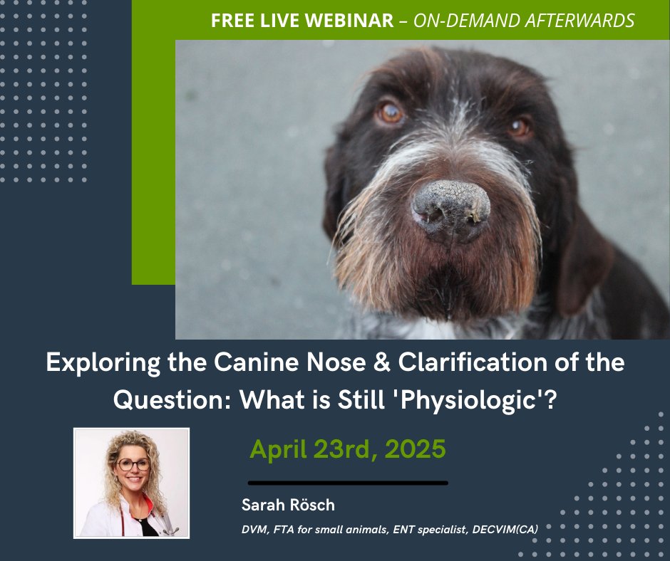 Join us tomorrow for a FREE Webinar on Exploring the Canine Nose &amp; Clarification of the Question: What is Still 'Physiologic'?
loom.ly/zgE35dw

#veterinarypractice #veterinary #veterinaryCE #veterinarycontinuingeducation #vetce