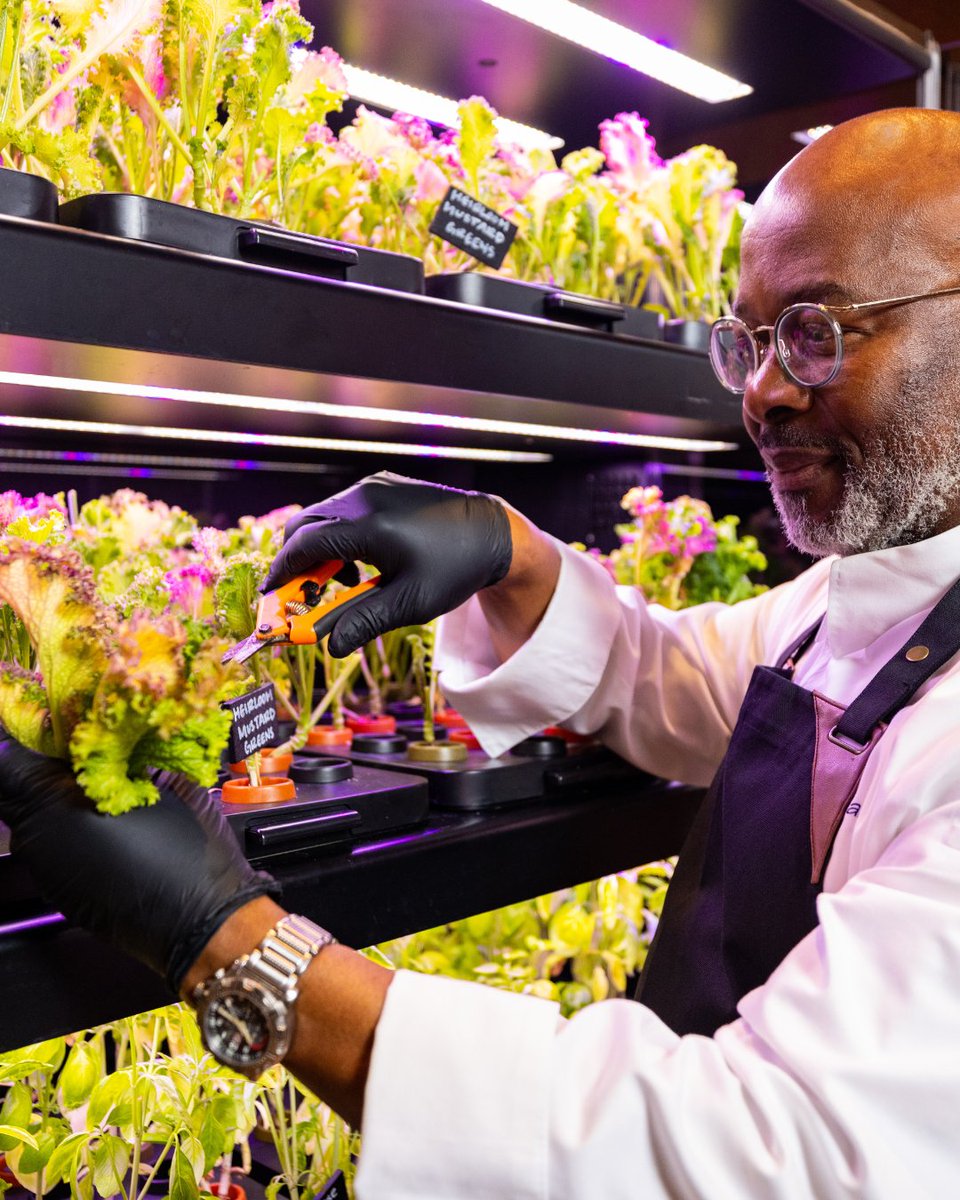 Hilton Americas-Houston tweet media