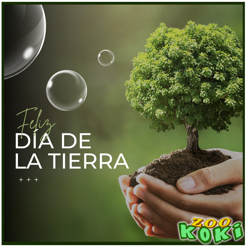 zookoki's tweet image. 🌍 Hoy celebramos el Día de la Tierra. Nuestro compromiso con la conservación va más allá de un solo día: es una forma de vivir, cuidar y educar. Cada acción cuenta. Desde Zoo Koki, trabajamos por un planeta más justo, verde y lleno de vida. 💚 #DíaDeLaTierra #ZooKoki