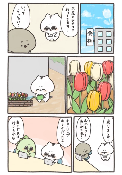 お花の水やり 
