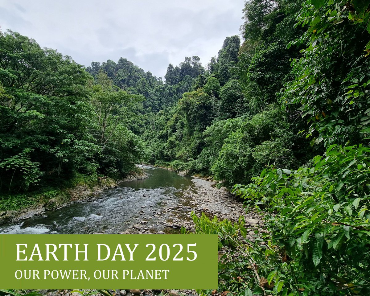 OrangUtansInNot's tweet image. Heute ist der internationale Tag der Erde. Hilf mit, die Erde und seine Bewohner zu schützen und engagiere dich für eine lebenswerte Zukunft. Gemeinsam können wir viel bewegen. #EarthDay