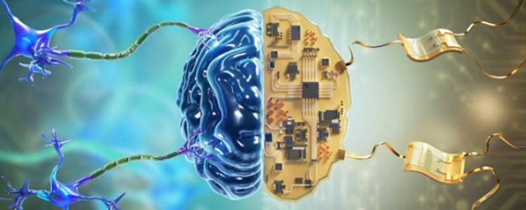 websticknl's tweet image. AI Gets a Brain Upgrade: How Infomorphic Neurons Work 🧠🛠️ medium.com/ai-frontiers/i… #LocalLearning #AIinnovation #CognitiveModels #Neuromorphic