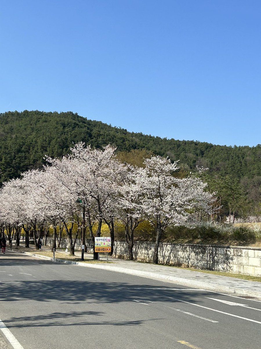 yun (@yuneseul_be) on Twitter photo 