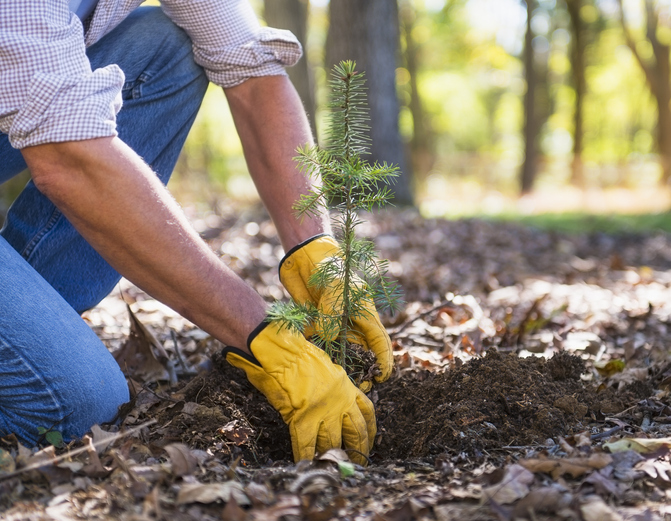 charhooks1's tweet image. 🌎 Happy Earth Day! Today’s a great reminder to cherish and protect our beautiful world. Comment below—how do you enjoy the outdoors?