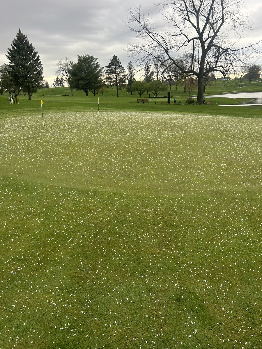 A little hail storm this morning. Luckily only pea sized hail. Definitely not complaining about the rain 2 inches in 2 days!⛈️💧🌩️