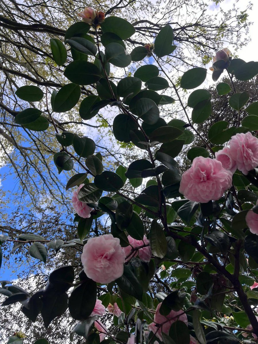 Susan (@b_oydarthur156) on Twitter photo Give time time, let the past pass, let the beginning begin.🌸 Give time time, let the past pass, let the beginning begin.🌸