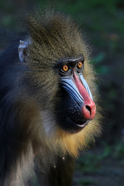 metastable 😵‍💫 tweet media