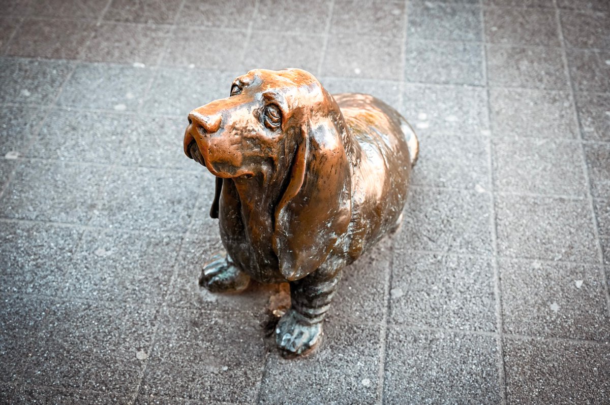 Do you like Lieutenant Columbo, the famous TV detective? Then we have good news: you can meet him and his beloved dog in Budapest - as a statue. 

Tag someone who definitely needs a selfie with the lieutenant!
🕵️‍♂️🐕

#visithungary #hungary #budapest#budapest