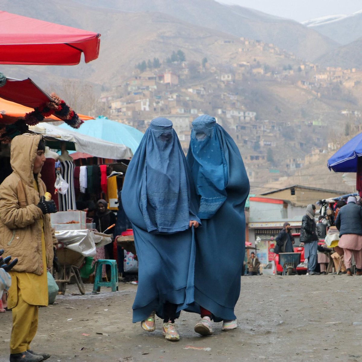 Celal Şengör:

"Türkiye çok çok geri bir ülke. Türkiye aslında Afganistan düzeyinde bir ülke.

Türk insanı Mercedes’e biniyor ama bunlar sizi aldatmasın."