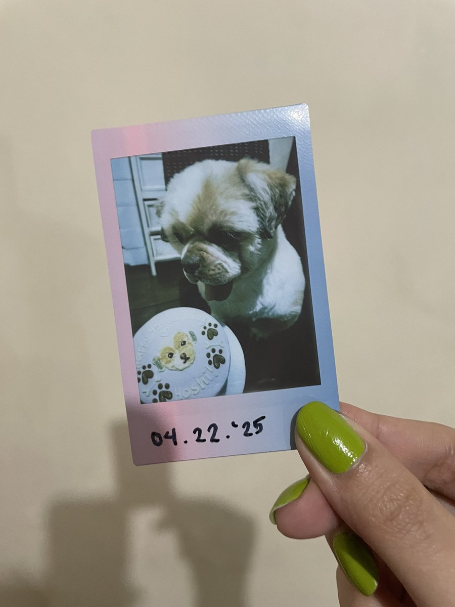 siomail0ver's tweet photo. birthday boy .𖥔 ݁ ˖๋ ࣭ ⭑ https://t.co/UvHkJLuuXz