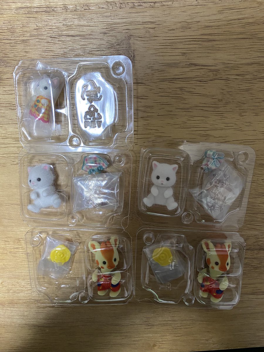 単独公演絶対行くよ🎸🥁🎤 tweet media