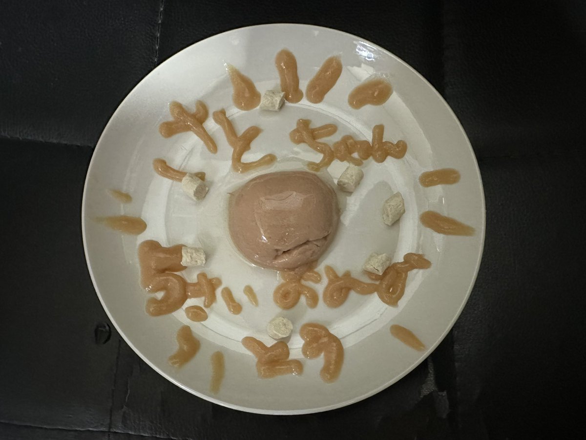 ちゃとくん、さとちゃん、4/20で5歳になりました🎂
これからも元気でいてください☺️
 #猫のいる暮らし #猫 #茶トラ #パステルサビ