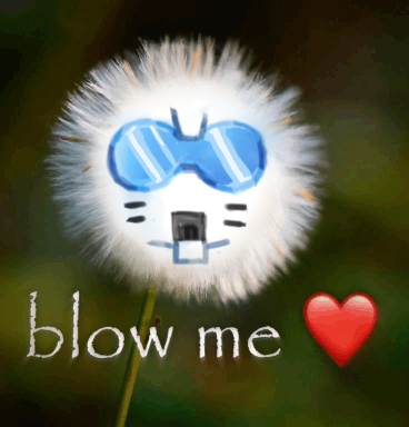 TimAndMau's tweet image. 