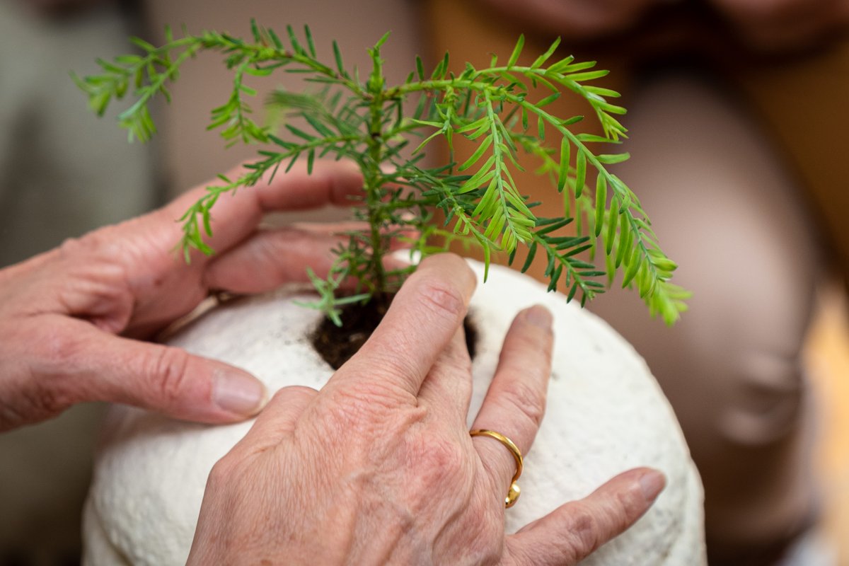 Today is Earth Day! 🌍 But at Loop Biotech, every day is Earth Day. We believe in a world in which we collaborate with nature and in which humans can create a positive impact, both during life and beyond. Join our mission today and learn more via loop-biotech.com