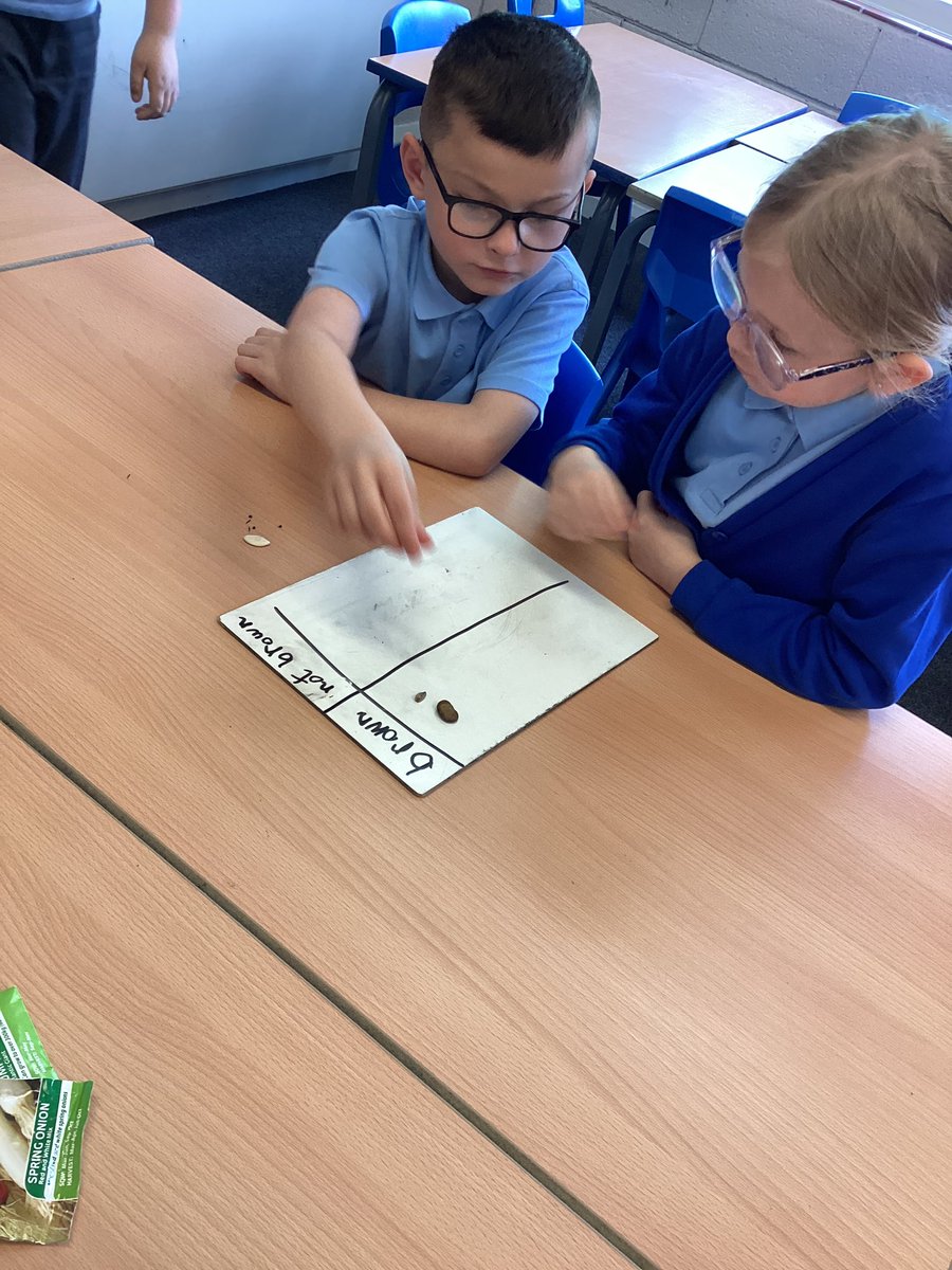 We’ve learned all about seeds in Science today. We then compared our seeds and grouped them. Some were big and bumpy and others were so tiny! <a href="/BedfordPrimary/">Bedford Primary</a> <a href="/SouthportLTrust/">Southport Learning Trust</a>