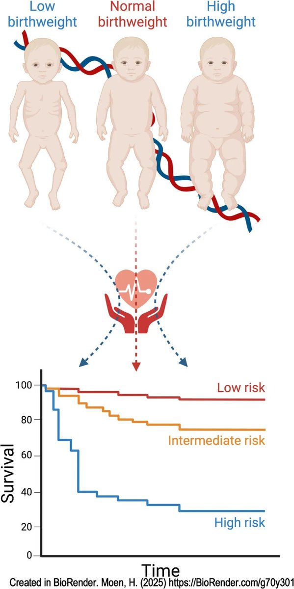 Diabetologia (@diabetologiajnl) on Twitter photo .<a href="/evans1_d/">david_mf_evans</a> and <a href="/Dr_GHMoen/">Gunn-Helen Moen</a> (<a href="/IMBatUQ/">Institute for Molecular Bioscience</a> <a href="/UniOslo_MED/">UiO - Det medisinske fakultet</a>) used winsorisation when performing #GWAS of birthweight and discovered missense variant in the ABCC8 gene estimated to be responsible for a 170g increase in birthweight amongst carriers #DoHAD #T2D link.springer.com/article/10.100… 🔓 .<a href="/evans1_d/">david_mf_evans</a> and <a href="/Dr_GHMoen/">Gunn-Helen Moen</a> (<a href="/IMBatUQ/">Institute for Molecular Bioscience</a> <a href="/UniOslo_MED/">UiO - Det medisinske fakultet</a>) used winsorisation when performing #GWAS of birthweight and discovered missense variant in the ABCC8 gene estimated to be responsible for a 170g increase in birthweight amongst carriers #DoHAD #T2D link.springer.com/article/10.100… 🔓