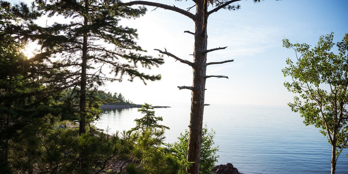 michigantech's tweet image. From the Keweenaw Peninsula, happy Earth Day! The rugged beauty of the U.P. continues to spark big ideas in our Huskies. 💡🌎