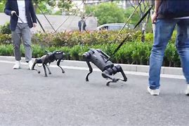 theKing_Kev's tweet image. Buy a Robot 🤖 and Get an NFT !! #CustomerService #CustomerExperience #CustomRobots #NFTcollections  #nftcollectors  #NFTCommunity  #NFTGiveaway  #NFT_Shill  #NFTGaming  #NFTCulture   #NFTSales   #NFTCommunitys