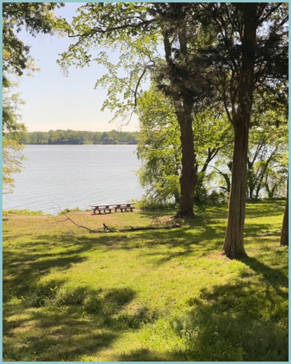 Northern Virginia Clean Water Partners (@nova_cwp) on Twitter photo 🌎Happy Earth Day #NoVa! 🌎Every small action to protect our waterways creates ripples of positive change. Let's continue this important work throughout the year, knowing that each choice we make helps build a healthier, more sustainable future for all. onlyrain.org 🌎Happy Earth Day #NoVa! 🌎Every small action to protect our waterways creates ripples of positive change. Let's continue this important work throughout the year, knowing that each choice we make helps build a healthier, more sustainable future for all. onlyrain.org