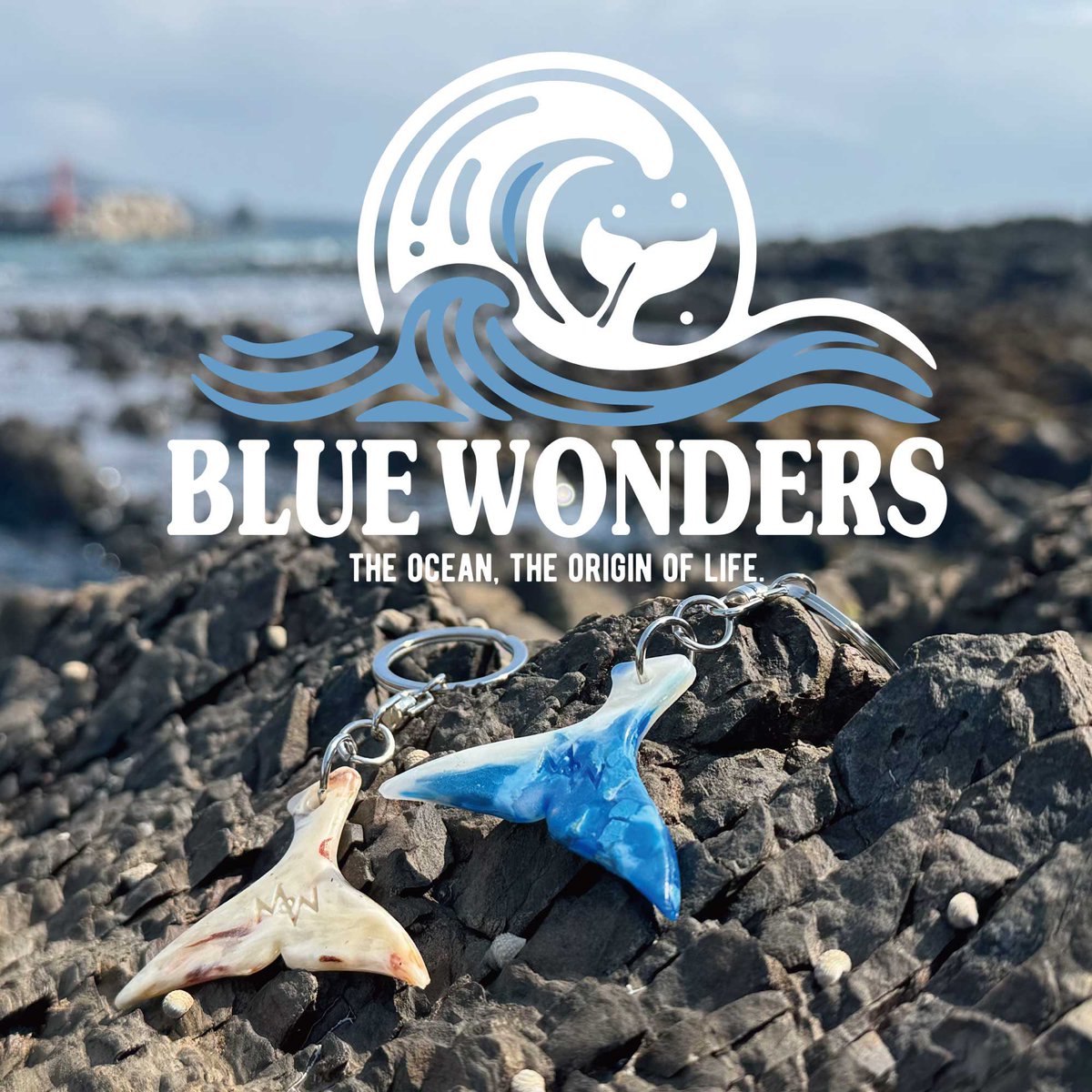 aratahitom's tweet image. 🌊「BLUE WONDERS」本日スタート！🌊
ハンズ新宿店・博多店・梅田店にて開催中！
水族館・博物館・海のクリエイターが手がける、海の不思議と魅力がつまったアイテムが大集合🐚✨
見て・触れて・感じる、海の世界を体験しよう！

whale-maker.com/bluewonders/

#BLUEWONDERS