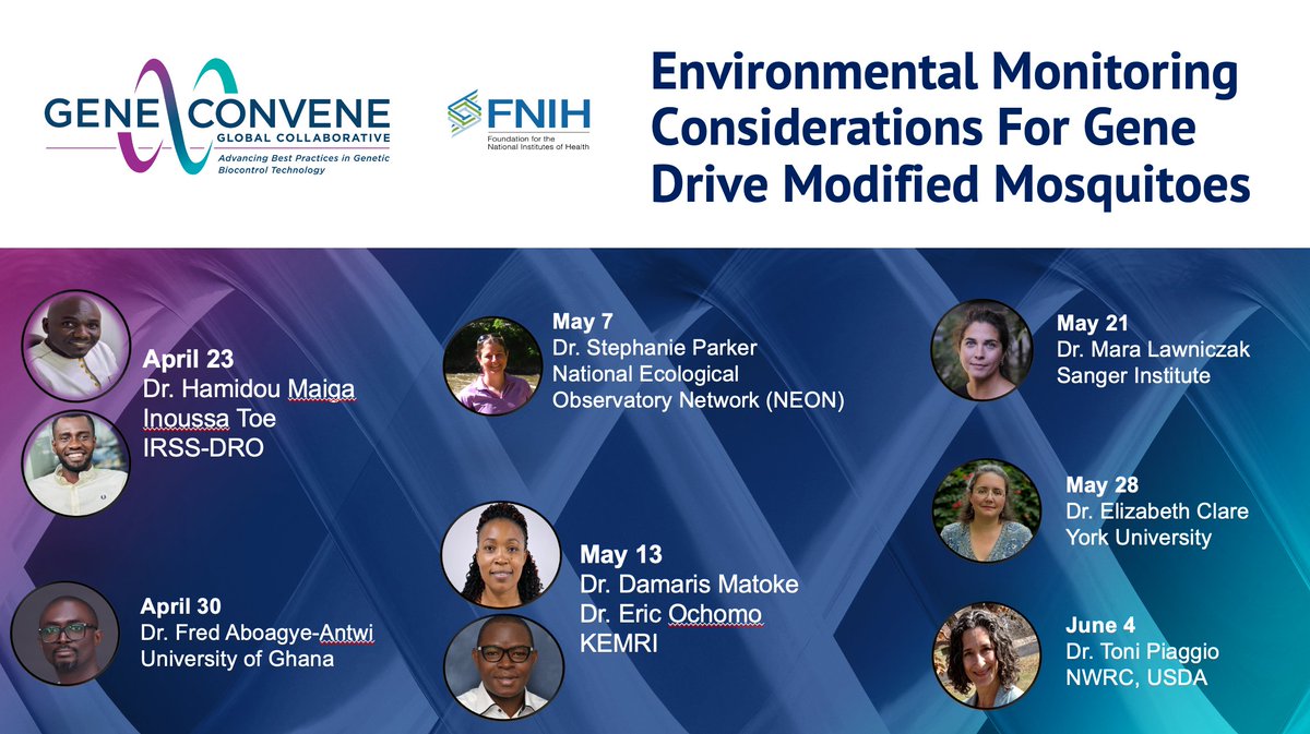 📢Weekly Webinar Alert!!! Save the Dates! 

📅Apr 23 – Jun 4, 2025.

Join leading scientists as they explore Environmental Monitoring Considerations For Gene Drive Modified Mosquitoes. 

🔗 Register Here: fnih.org/GeneConveneWeb…

#GeneDrive #Malaria #EnvironmentalMonitoring