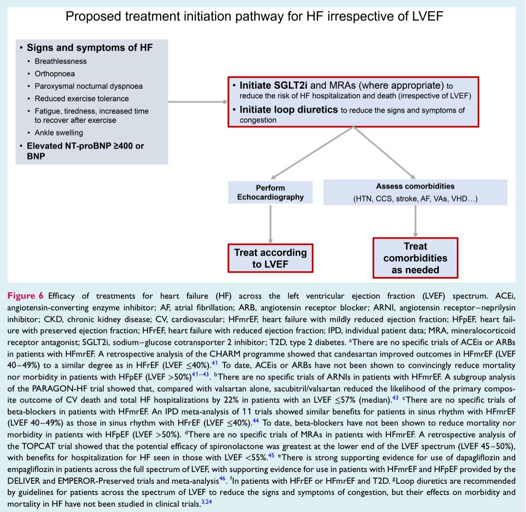 EJHF Editor-in-Chief (@ejhfeic) on Twitter photo 🗞️ The use of #LVEF in the diagnosis and management of #heartfailure.
A clinical consensus statement of the #HFA of <a href="/escardio/">European Society of Cardiology</a>, the <a href="/HFSA/">HFSA</a> & the <a href="/jhfs2024/">第28回日本心不全学会学術集会</a>
<a href="/ESC_Journals/">European Society of Cardiology Journals</a> <a href="/GiuseppeGalati_/">Giuseppe Galati</a>
<a href="/AmrAbdin10/">Amr Abdin</a> <a href="/HanCardiomd/">Henry Han</a>
bit.ly/3Gk76NK 🗞️ The use of #LVEF in the diagnosis and management of #heartfailure.
A clinical consensus statement of the #HFA of <a href="/escardio/">European Society of Cardiology</a>, the <a href="/HFSA/">HFSA</a> & the <a href="/jhfs2024/">第28回日本心不全学会学術集会</a>
<a href="/ESC_Journals/">European Society of Cardiology Journals</a> <a href="/GiuseppeGalati_/">Giuseppe Galati</a>
<a href="/AmrAbdin10/">Amr Abdin</a> <a href="/HanCardiomd/">Henry Han</a>
bit.ly/3Gk76NK