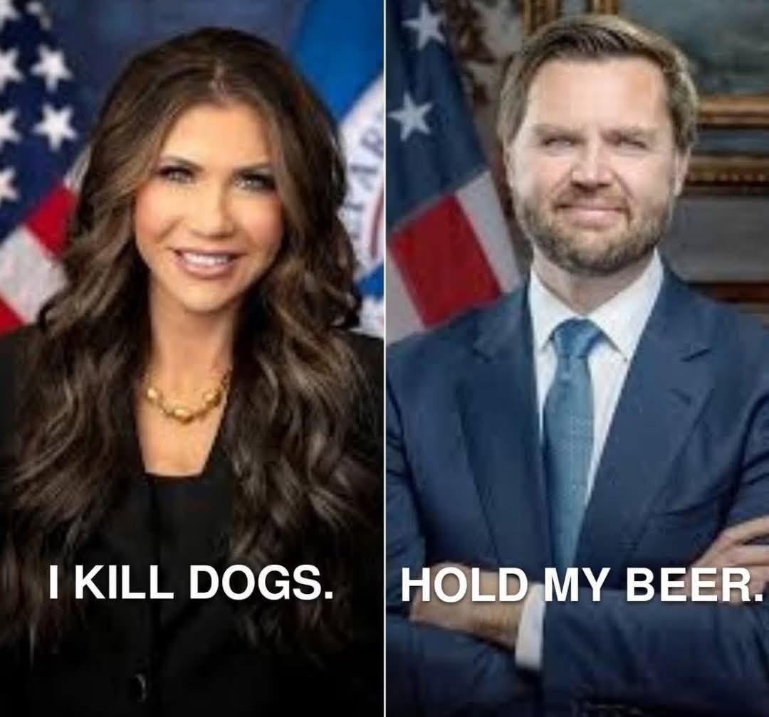 Domankiewicz's tweet image. As a public service I've gathered together some of the "J D Vance killed the Pope" memes. You're welcome.