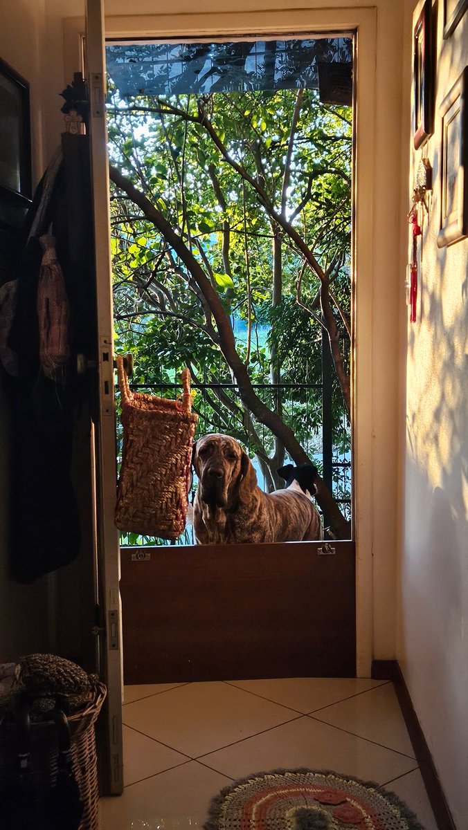 _gpetry's tweet photo. ir pra casa é um barato https://t.co/ndpoeLkciF