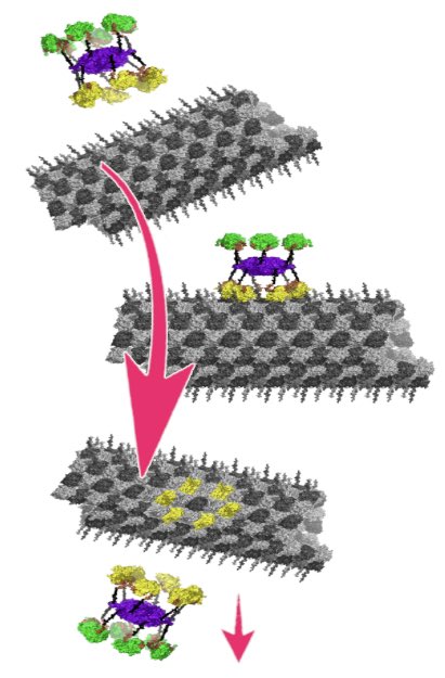 Stuart Hameroff tweet media