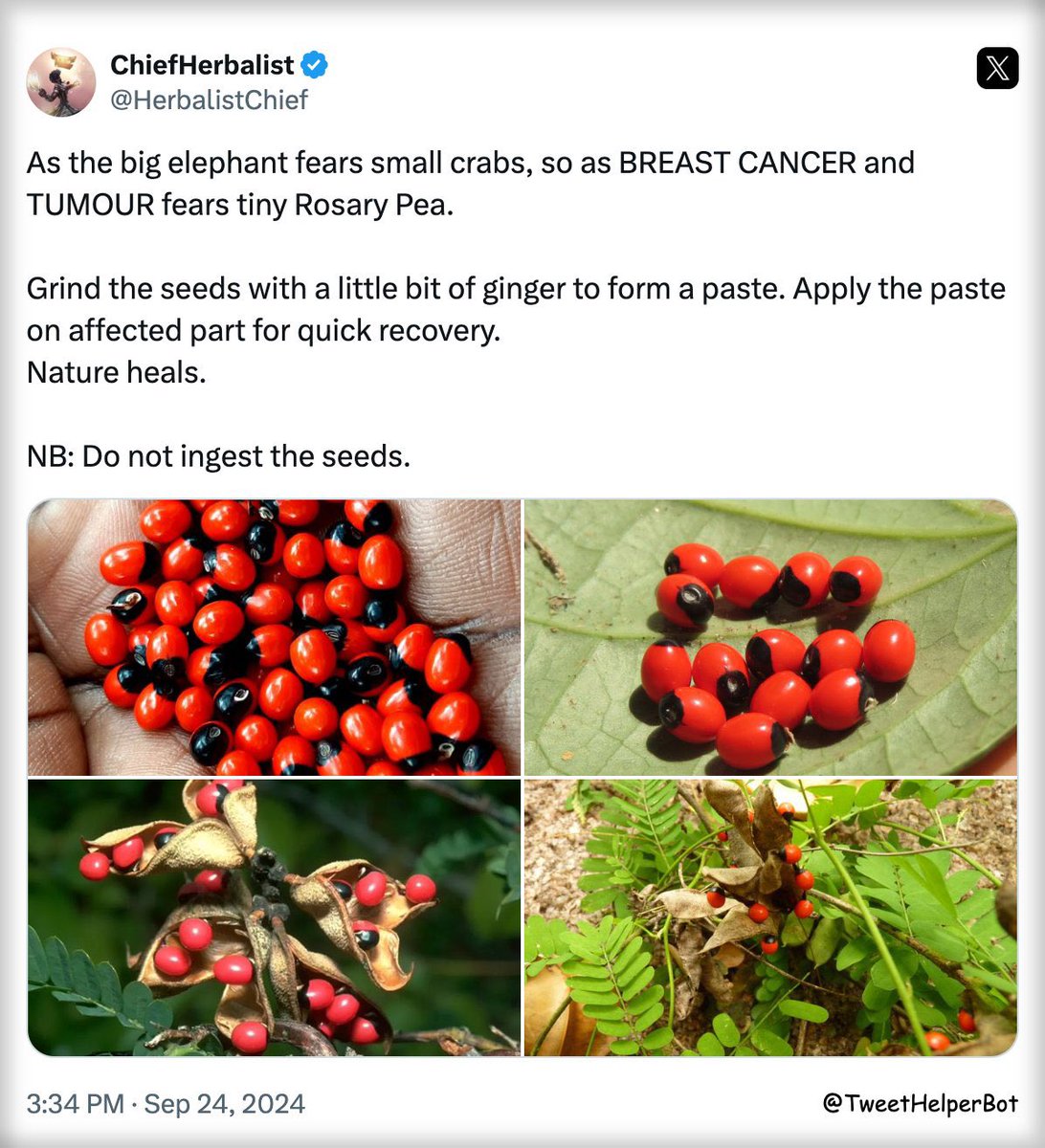 Breast cancer and tumour fears tiny rosary pea. Nature heals