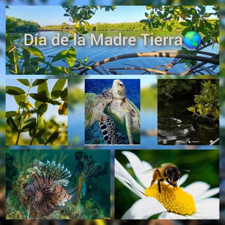 #EducaciónCiegodeAvila 
#PorCiroRedondoTodo 
#LatirAvileño